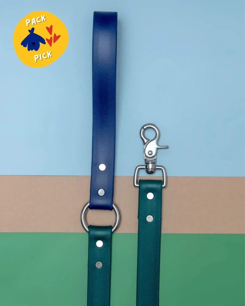 City Leash in Hunter Green & Navy (4 or 6 Foot) (Made in the USA)