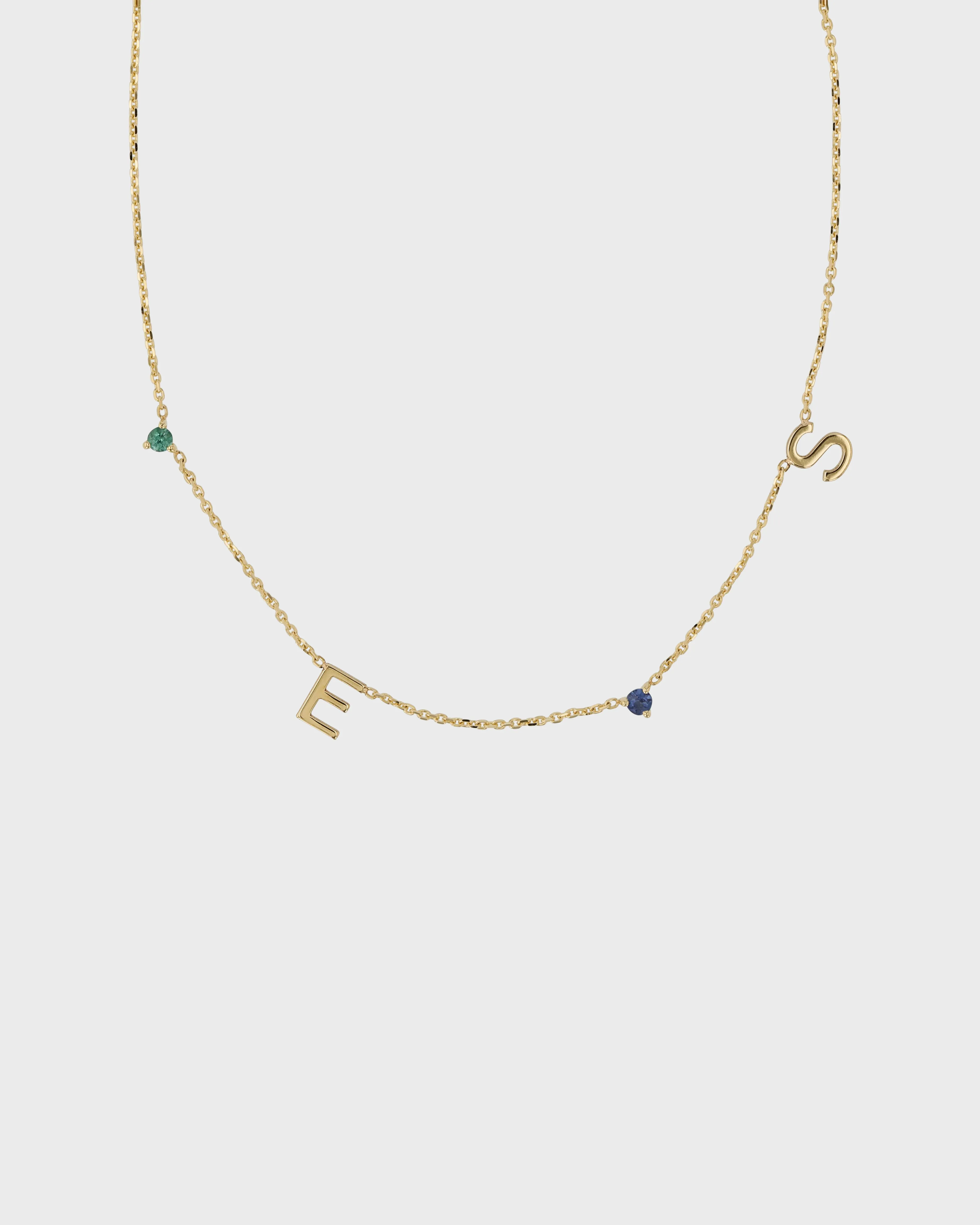 The Petite Charm Necklace