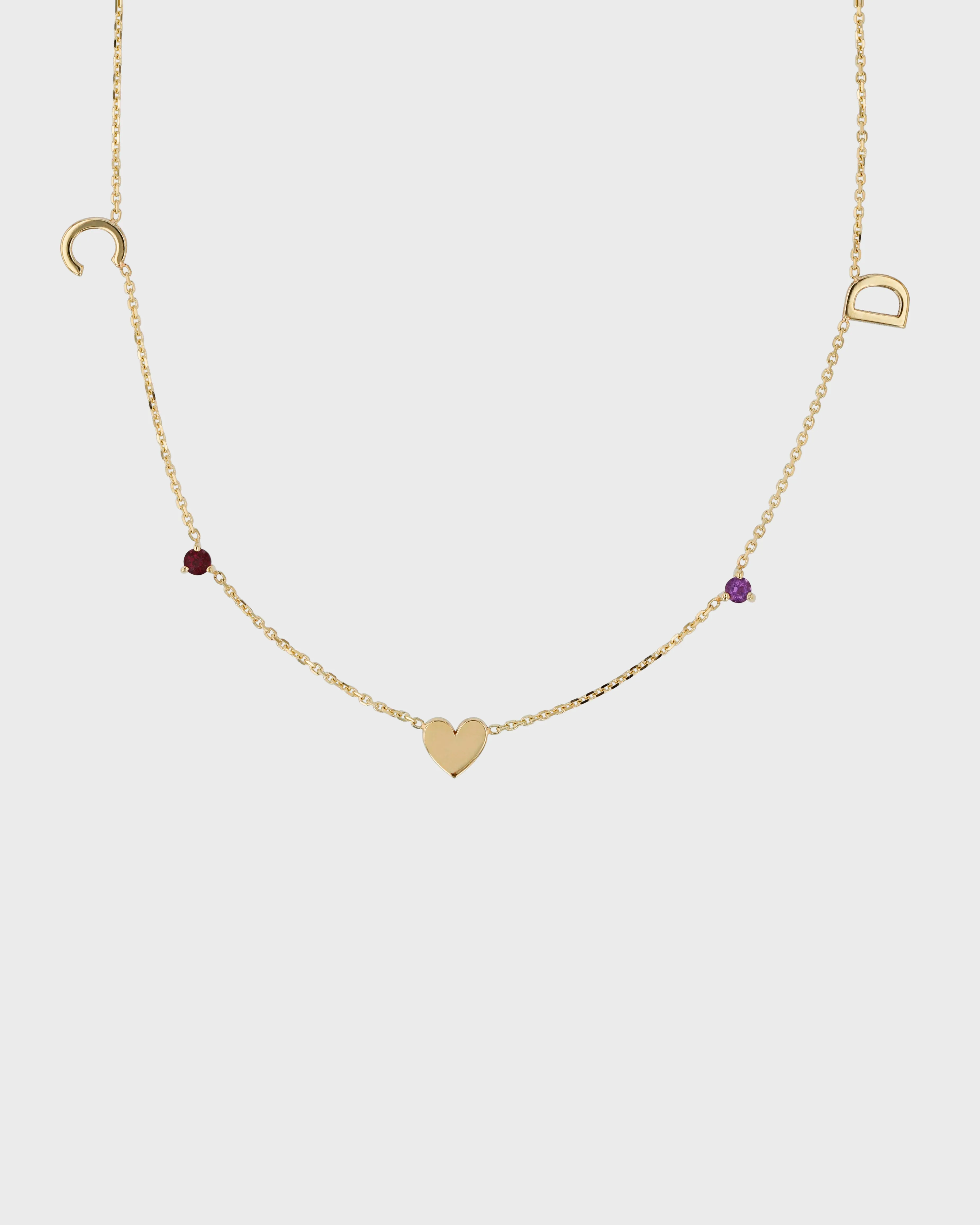 The Petite Charm Necklace